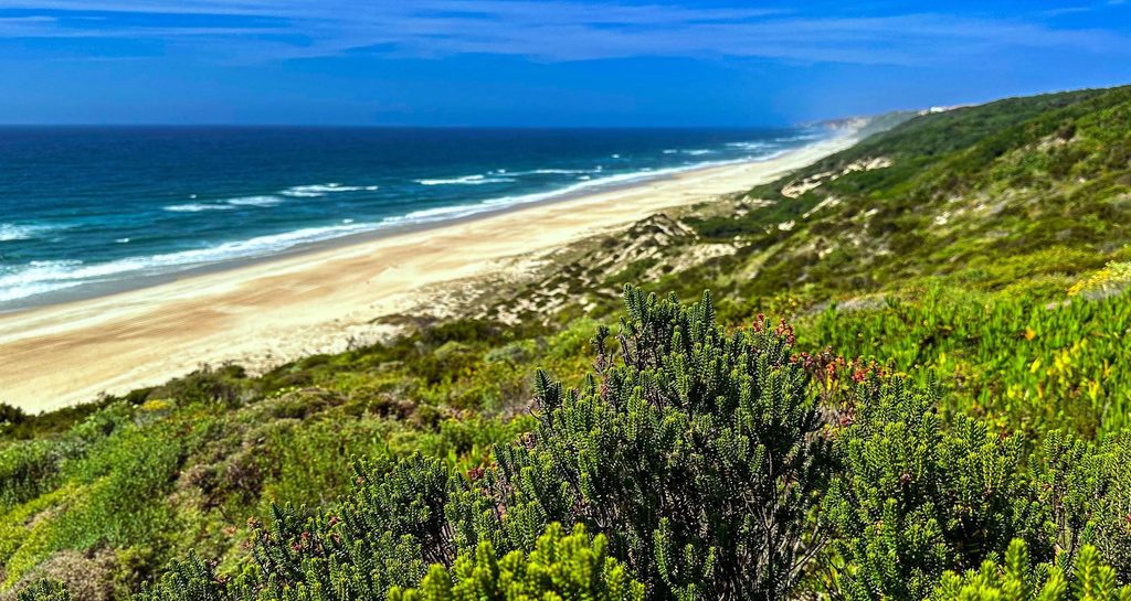 Praia da Areeira