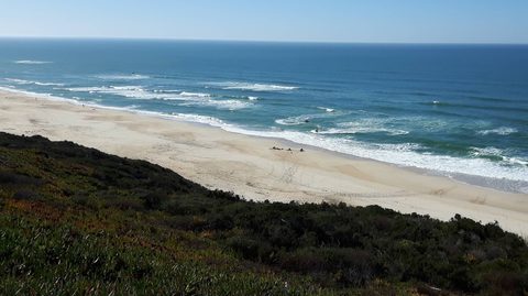 The long, empty sandy stretch of Praia da Areeira backed by cliffs and pine forest