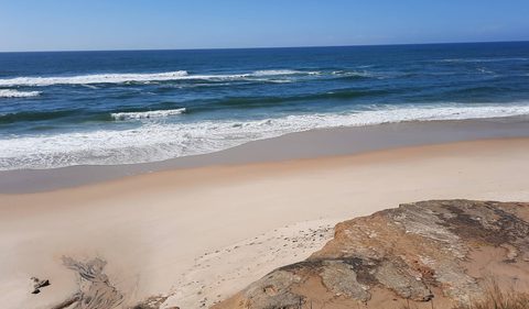 Golden dunes and open sand at Praia da Légua, backed by green slopes and pine woodland